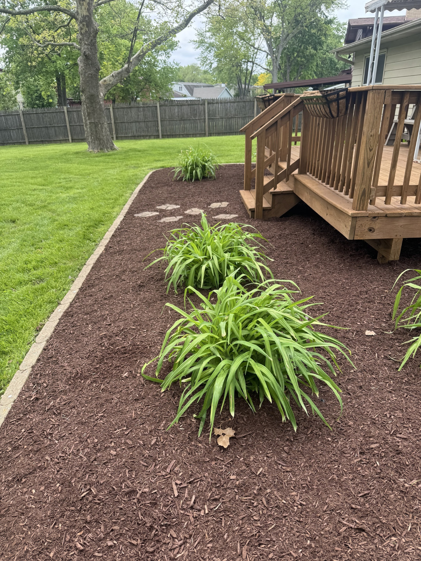 After: Backyard planting bed mulch refresh.